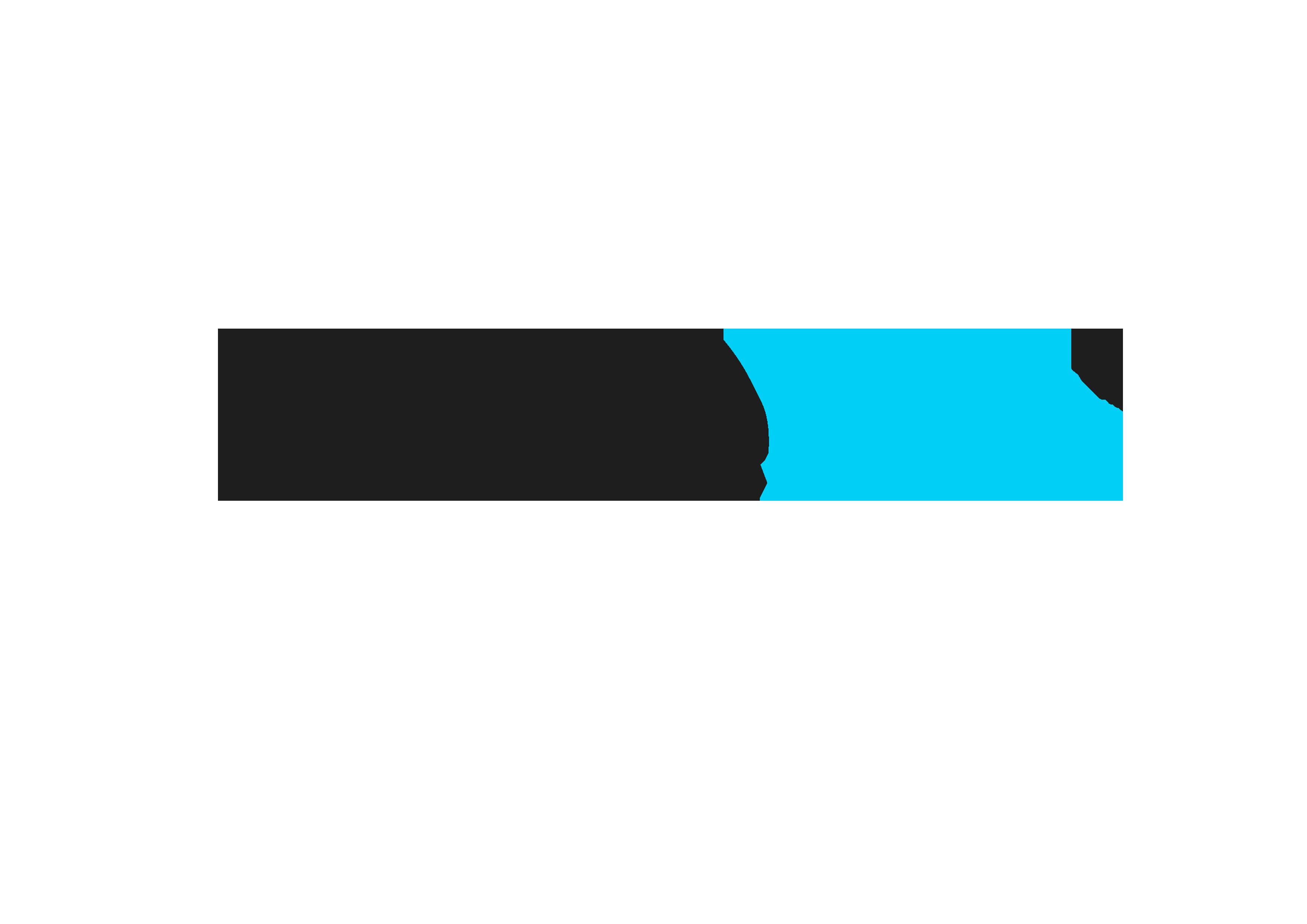 Noble Life International