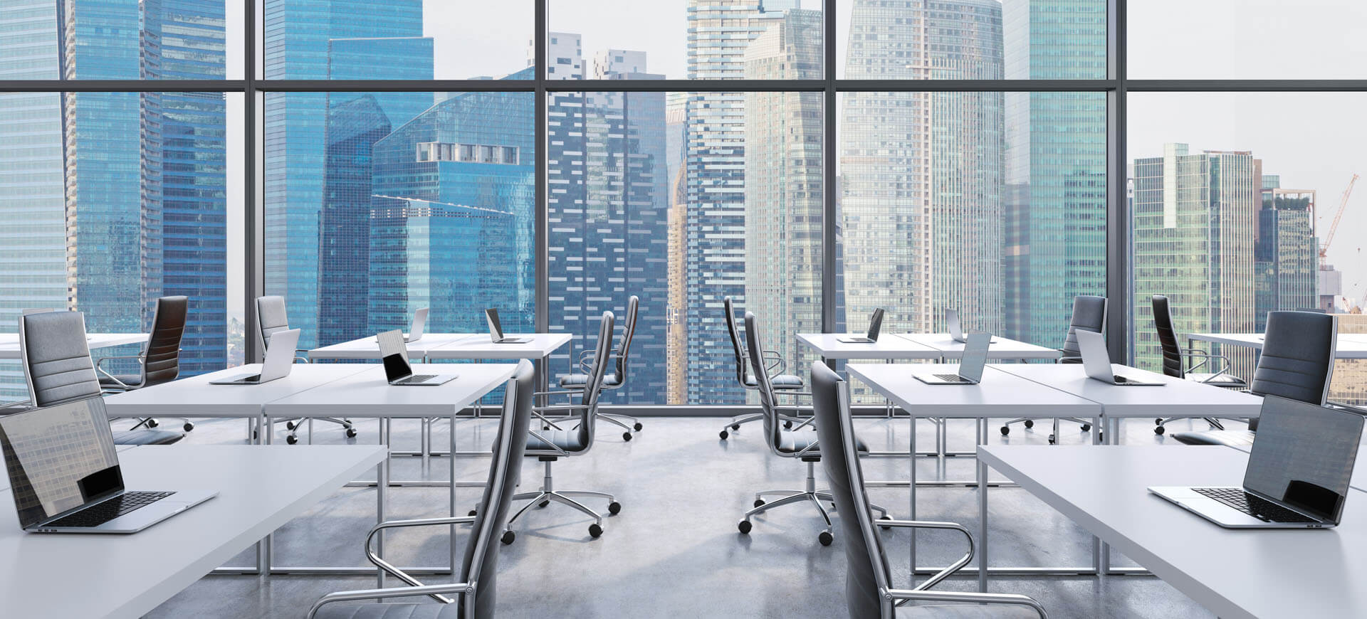 Everything You Need To Know About Dream Career Builder Team
