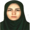 Somayeh Madromi