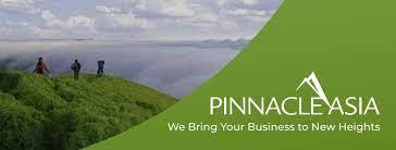 Pinnacle Asia Outsourcing