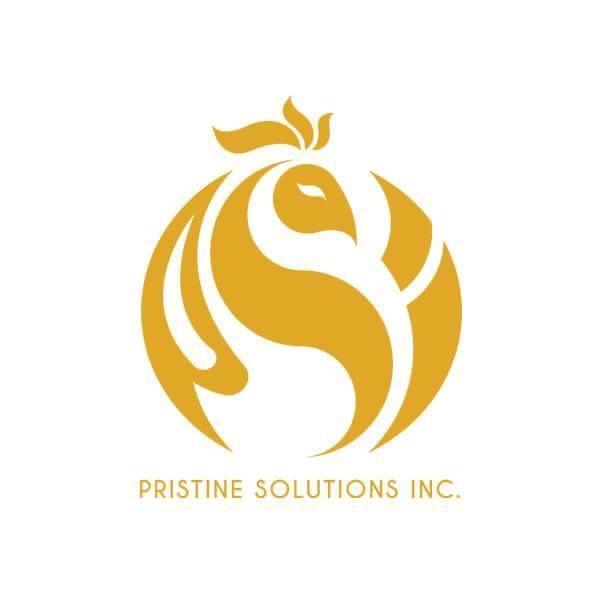 Pristine Solutions Inc.