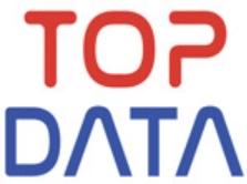 TopData Global IT Solutions, Inc.